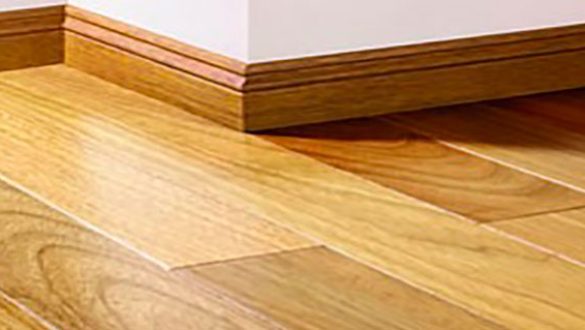 guardaescoba-585x300